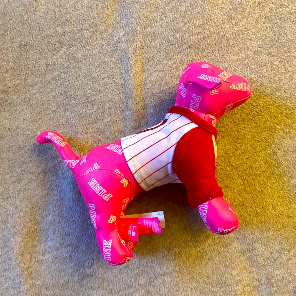 Nationals Baseball VS PINK dog